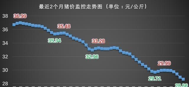 生猪价格|10月26日猪价逆势大涨！11月猪价能达到多少钱一斤？看专家咋说
