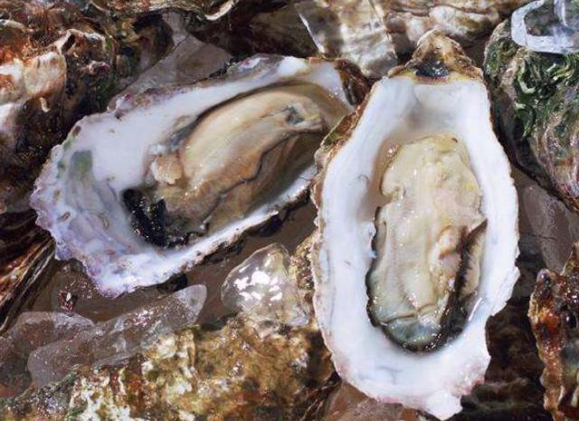 鸡蛋|它是中年男性的“加油站”，是含锌冠军，上了年纪的更要多吃！