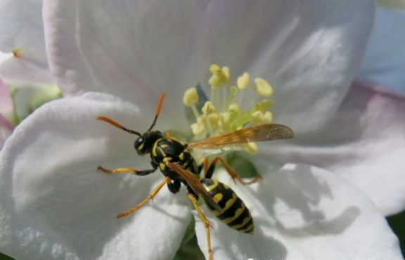 运势|十月中旬开始，事业顺利，遇见真爱，好运连连的生肖