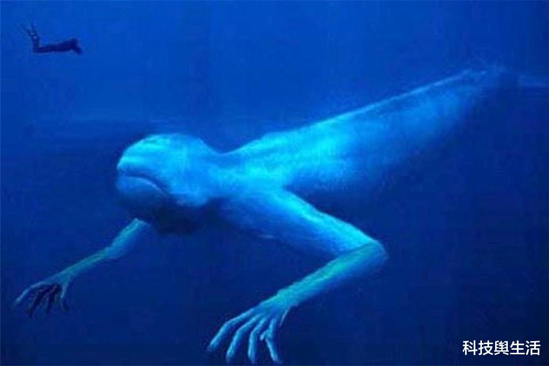 南极|南极出现“鲸鱼人”，可能与人类化学实验有关，会带来什么影响？