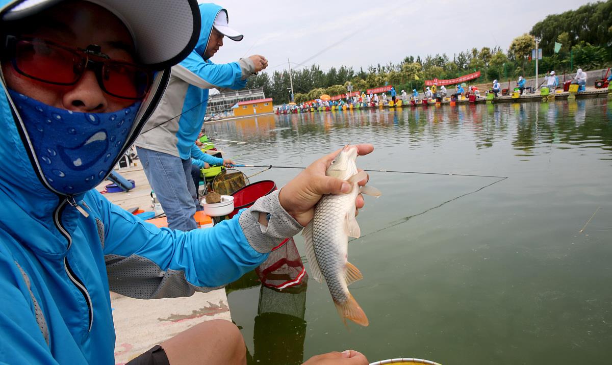 蟒蛇|为啥连杆上鱼总不是你？因为你这4点搞错了！