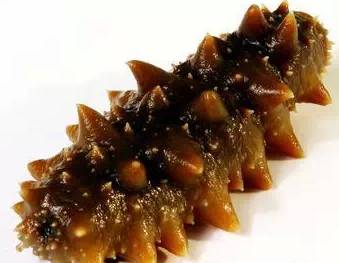 鱿鱼|开海了！这84种海鲜，你都认识吗？