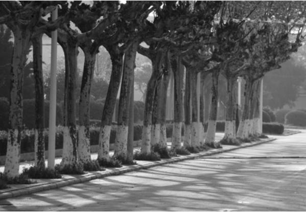 安徽|安徽“唯一”1所位于县城的大学,神奇的是这个县比大学的名气大