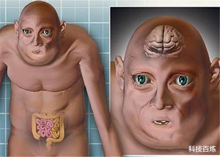 科学家▲科学家画出“未来人类”的模样,网友:我宁愿变成“阿凡达”!