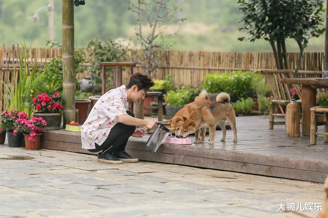 向往的生活第四季@逆生长！《向往的生活》为何越来越受欢迎？有这么多大咖抢着来