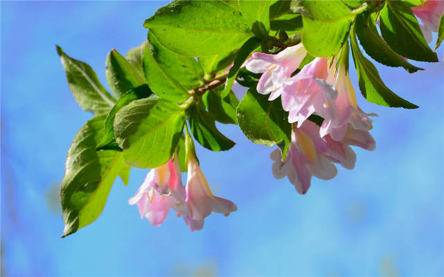 天蝎座|10月1号起财神爷眷顾，好事来袭财气上行，“金榜”提名的生肖