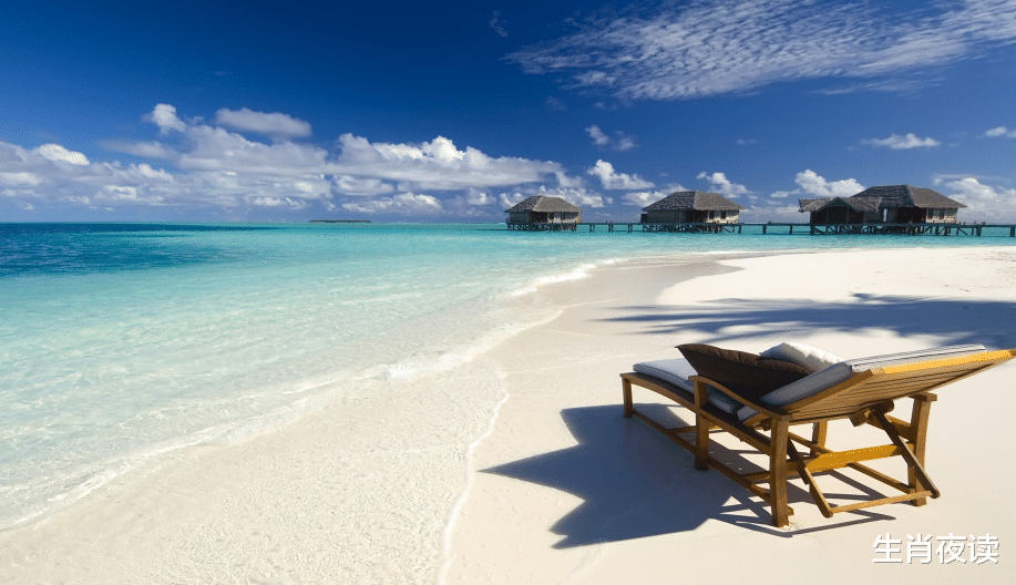 处女座|11月,繁华散尽,痴情未改,为谁醉为谁痴,酒才一杯,为爱上头