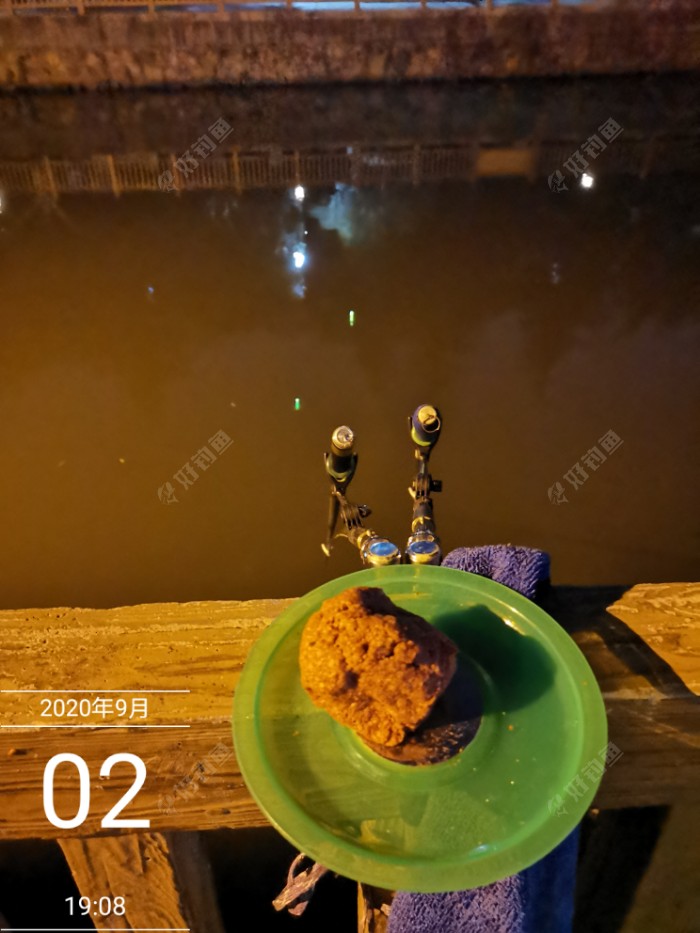 钓鱼|入秋以来首凉爽 双枪作钓小鲤来