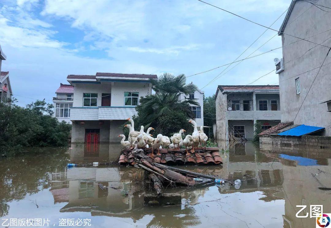『六安』暴雨来袭，安徽六安部分村庄被水围困，村民购快艇转移乡邻