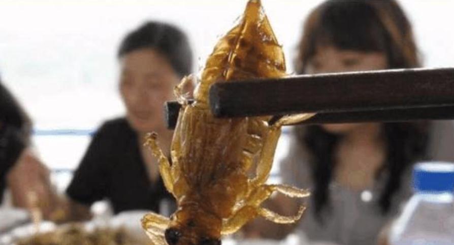 『』它一小时能吃掉800只蚊子，却被中国吃货吃到快灭绝了，让人惋惜