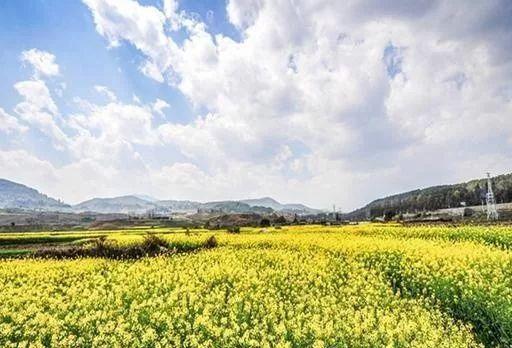 小行星▲2022年小行星撞击地球?会造成灭绝灾难?