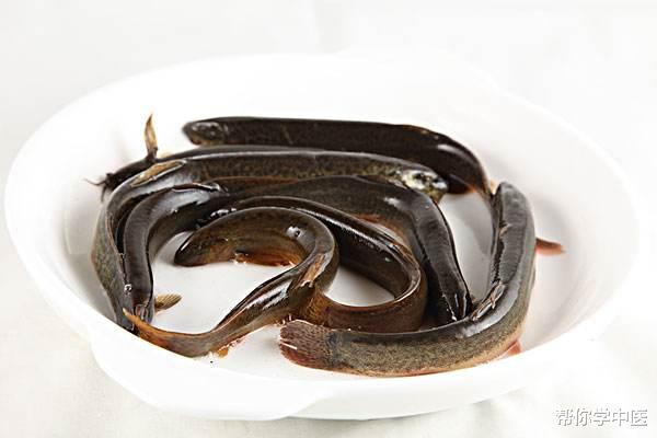 「人参」它就是“水中人参”！兴男子阳气，补虚人脾气，世人多不在意