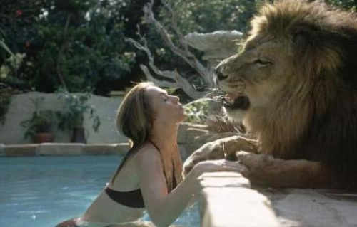 基因@人类真的没有天敌吗？对它的恐惧已刻在基因中，近百年吃掉37万人