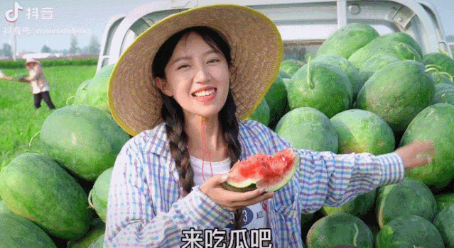 狐狸|河南李子柒火了？连央视都点赞！