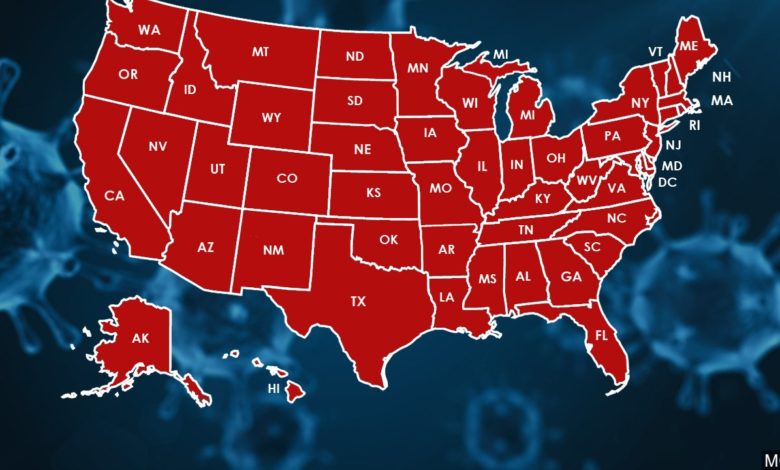 特朗普@特朗普坦白:我真的一无所知!