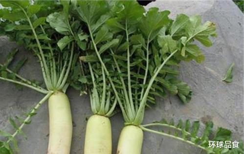 萝卜|秋天，少吃鸡肉鸭肉多吃它，百吃不腻，视力好了，不懂可惜了！