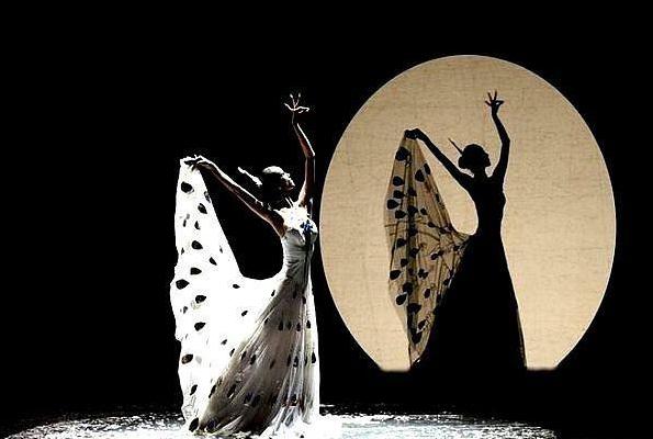 『杨丽萍』就在3天前，“装”了20年的杨丽萍也“翻车”了