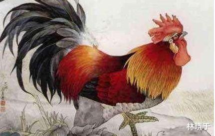 生肖|最容易动情的三种生肖女，天生风流，尤其第三个?，太准了