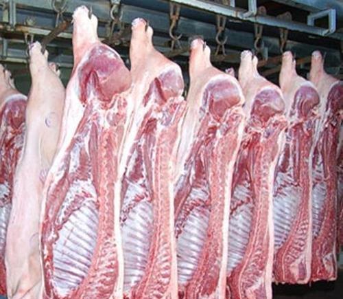 生豬產能恢復提高後，豬肉價格什麼時候下跌到12元左右？-圖2