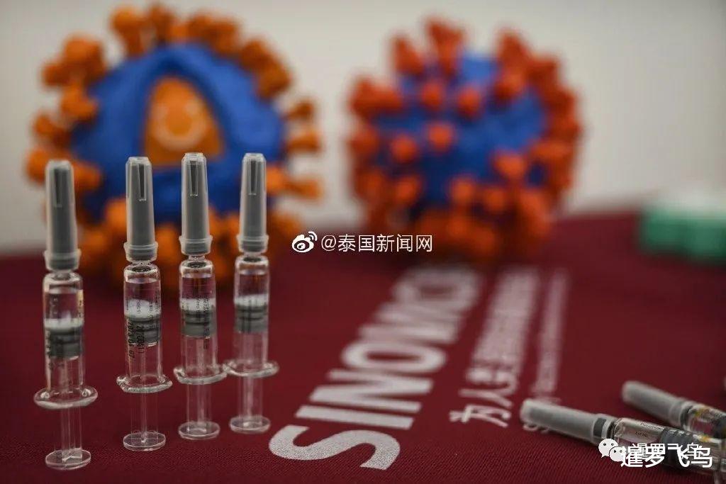 泰國正大集團推動中國科興新冠疫苗入泰-圖2