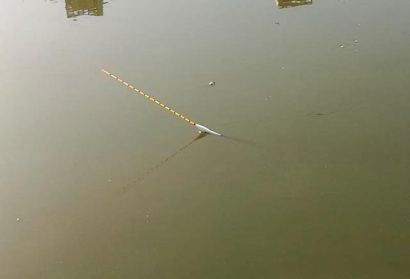 #鲫鱼#流水中钓鱼，浮漂总是被压到水里看不见，该如何解决？