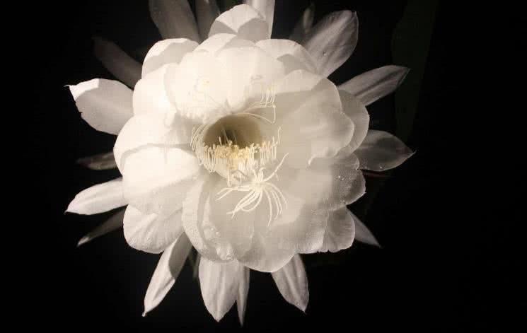 运势：6月中旬开始横财入口袋，得贵人支持，求财有道的4大属相