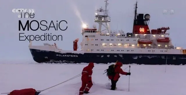 北极|北极漂泊389天后,数百名科学家带回一个噩耗:北冰洋正在死去