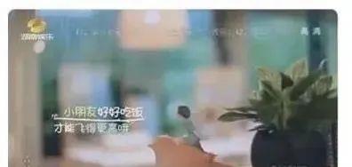 郭采洁|这次终于撕不上热搜了？