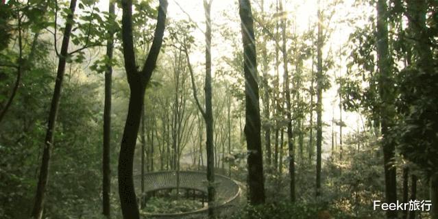 衢州▲马云都来悄悄拜访！这座浙西小县城，究竟有什么魔力？