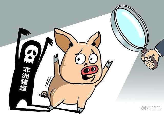 生猪价格|生猪产能大幅恢复，肉价咋不“降降降”？高猪价进入“倒计时”？