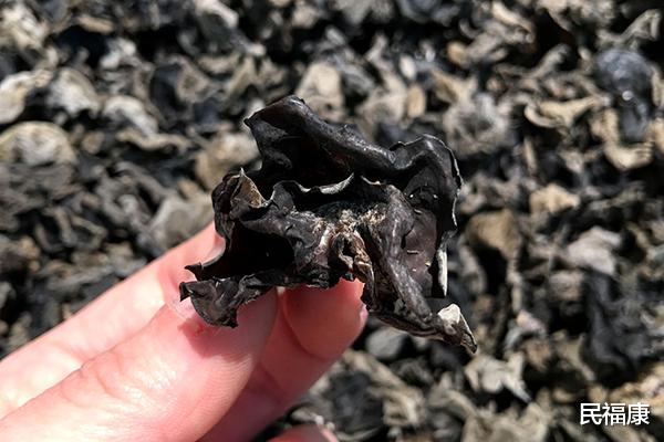 钟南山|“烂肝王”被揪出，不是酒精，而是“一果一菜”，转告家人要少吃