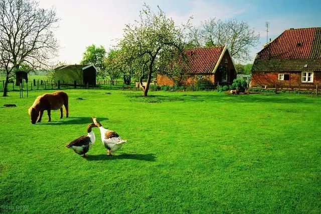 池塘|背山面水都是风水宝地,为何门前开方塘反而不好?