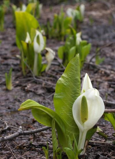 生肖|10月开始，财运上上签，交好运赚大钱，事业飞黄腾达的4大生肖