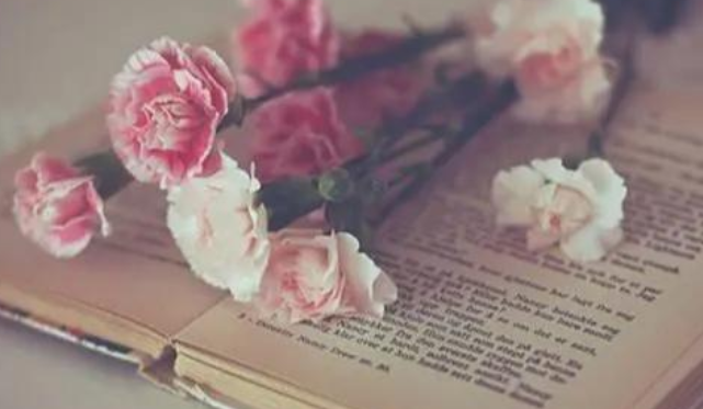 「生肖」这四个星座能言善辩，他们口才很好，与人争辩时相当厉害