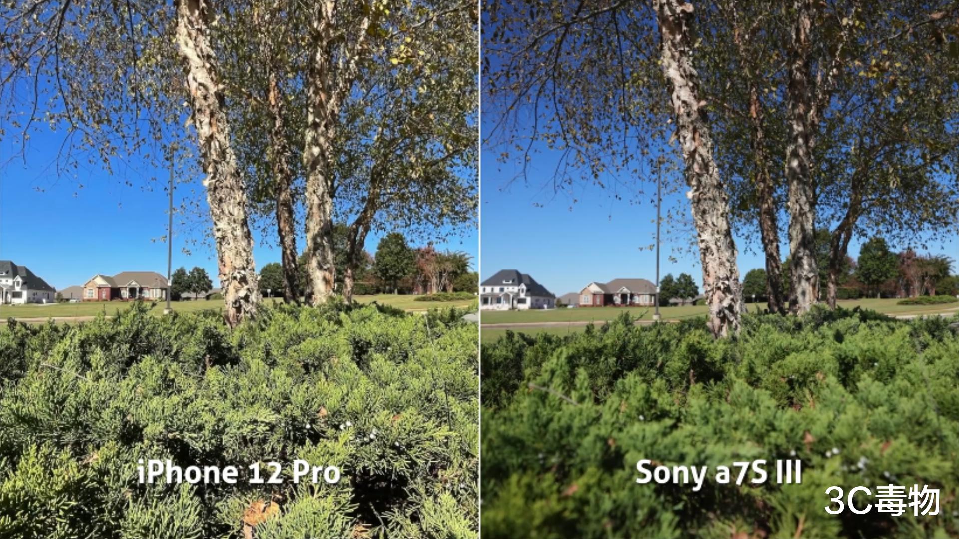 iPhone 12 Pro|iPhone12Pro和索尼A7SIII拍照对比：四镜头和单镜头差距大吗？