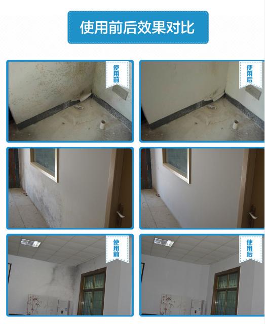墙体发霉怎么解决？不用花钱请工人！用这款除霉剂一喷霉菌全去除