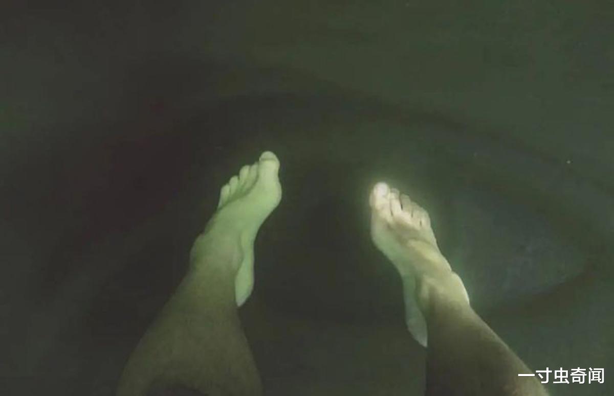 |面对庞然大物，你是否有未可名状的恐惧感？源自内心的巨物恐惧症