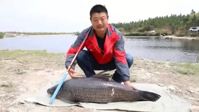 『玉米』「垂钓杂文」之一：一个人至少要有一个爱好