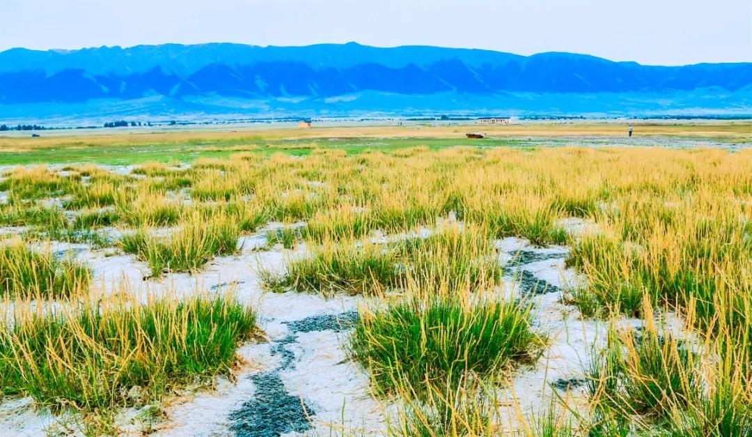 新疆维吾尔自治区 天山脚下的边陲小城，名气虽不及伊犁，但风景美如画
