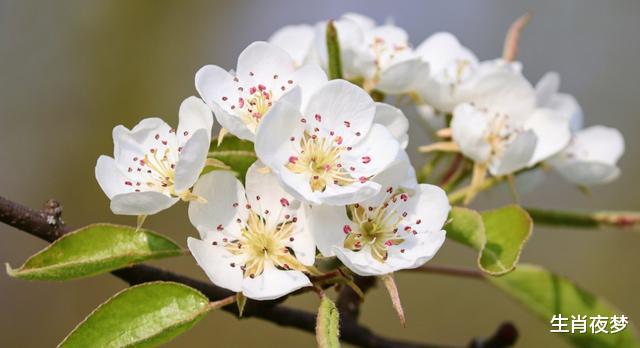 霉运|8月，先苦后甜，旱苗得雨，3生肖霉运散尽，生活锦上添花