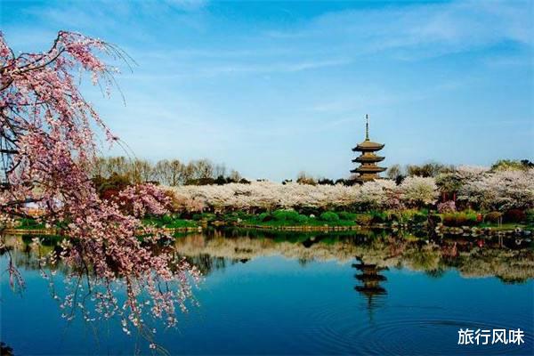 高校|全国高校数量最多的20个城市，读大学就选这里！