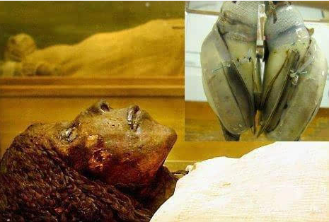 『人工心脏』5万年前的女性遗体中有人造心脏，史前文明到底发展到什么程度？