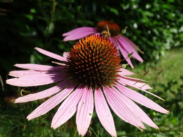 运势:未来俩月财运广万事兴,不知不觉就有钱,过上优越生活的四属相