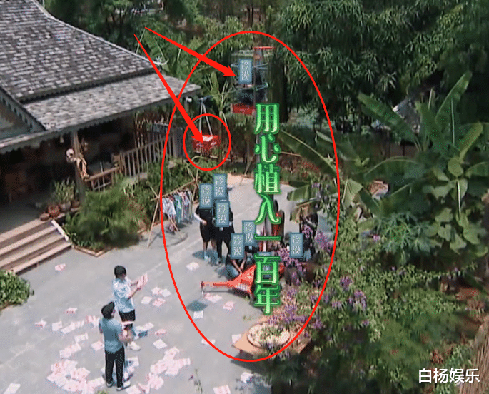 「黄磊」黄磊发现摘椰子神器，节目组都慌了！得知工具实际用途：用心良苦