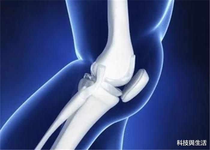 科学家▲人身体淘汰已久的骨头，如今又再次出现，究竟是退化还是进化？