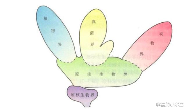 『太空』地球上，为什么就哺乳动物都具有生殖器？