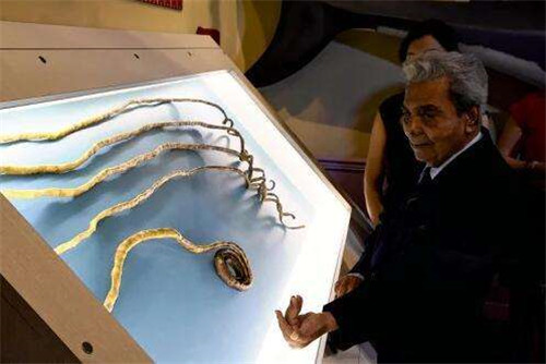 印度老人66年沒剪指甲，將指甲捐博物館後，不料手指卻有瞭新變化-圖3