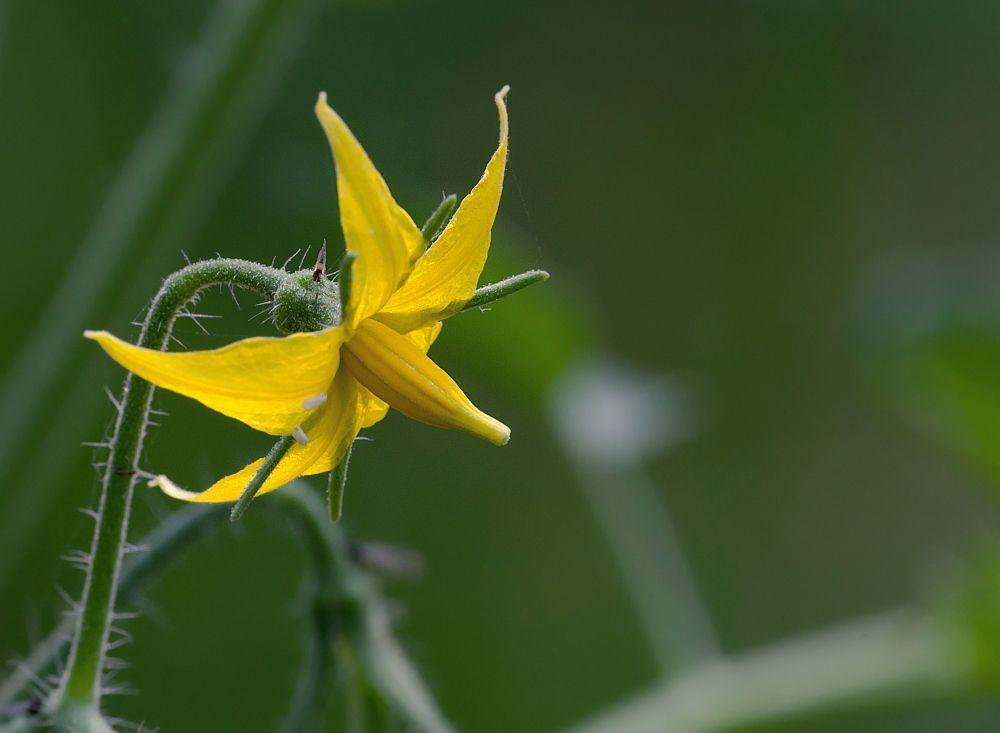 『运势』自带万人迷的气场，有几个星座女，总会吸引到优质男