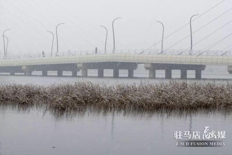 昨天正阳大雪刚拍的照片，太美了！