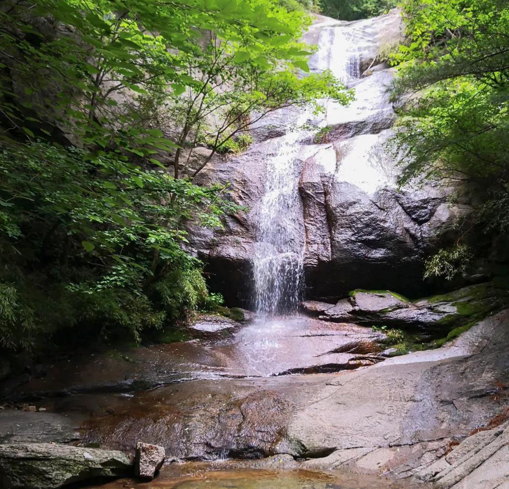 秦岭@秦岭中这座森林公园，奇山峻岭，景色宜人，国家4A级景区免费开放